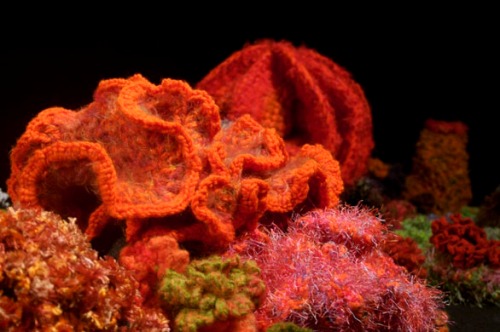Hyperbolic crochet coral